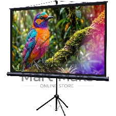 Экран на штативе Lumien Eco View 130x227см (раб.область124х221 см) (100