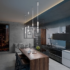 50210/1 LED / подвесной светильник / черный