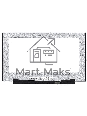 Матрица LQ173M1JW03