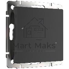 Заглушка Werkel W1159208 (черный матовый)