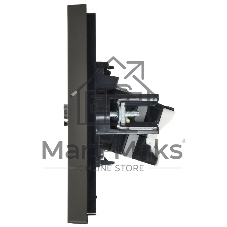Розетка двойная TV+RJ45 кат.5E IEK FORTE&PIANO FP336 серый