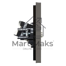 Розетка двойная TV+RJ45 кат.5E IEK FORTE&PIANO FP336 серый