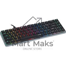Клавиатура проводная Acer OKW302 (ZL.KBDCC.01C), USB, серебристый