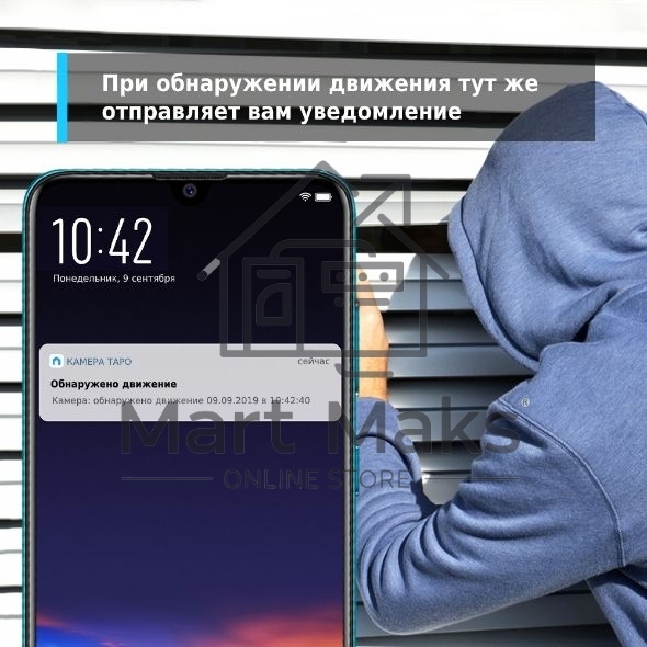 Домашняя Wi-Fi камера TP-Link Tapo C110