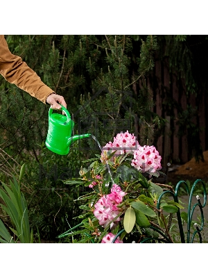 Лейка садовая, 2 л, пластмассовая Россия