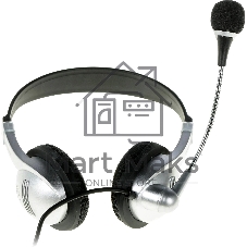 Гарнитура Ritmix RH-533 USB серебристый, проводная, USB