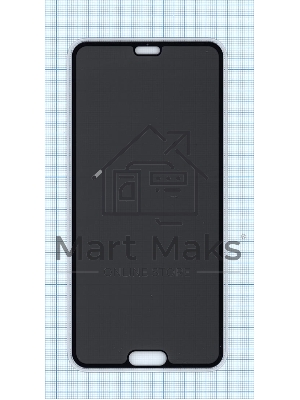 Защитное стекло Privacy 