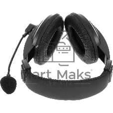 Гарнитура Ritmix RH-540M чёрный, проводная, USB