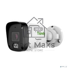 Камера видеонаблюдения IP Tiandy AK TC-C321N 1CNB-28 2.8-2.8мм цв.