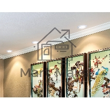 Светильник Ambrella light TN160 WH белый GU5.3 D92*38