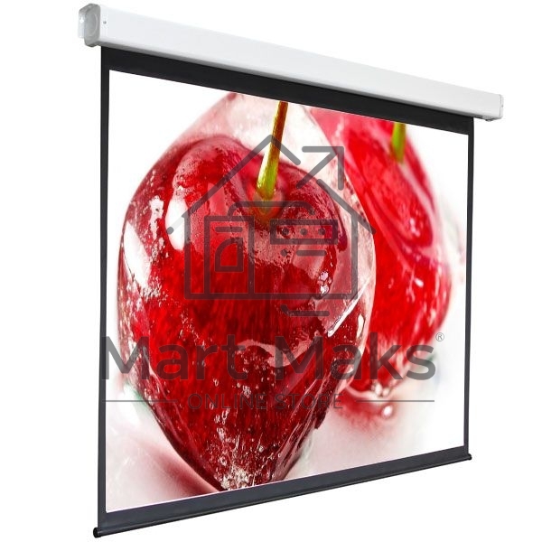 Экран 240x240см Digis Electra-F DSEF-1108 1:1 настенно-потолочный рулонный (моторизованный привод)