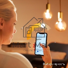 Лампа светодиодная филаментная Gauss Smart Home DIM E14 C35 4,5 Вт 1/10/40