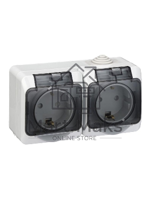 Блок ОП Этюд (2-м розетка с заземл. защ. шторки) IP44 сер. SchE PA16-244C