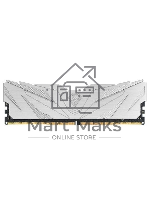 Оперативная память NETAC, DDR5, 16Gb (1x16Gb), 4800MHz, CL40, DIMM, с радиаторами, белый