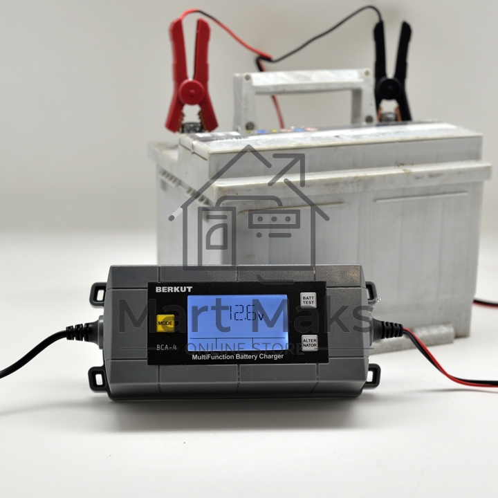 Зарядное устройство Berkut BCA-4