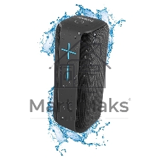 Акустическая система 2.0 SVEN PS-205, черный мощность 2x6 Вт (RMS), Waterproof (IPx6), TWS, Bluetooth, FM, USB, microSD, встроенный аккумулятор