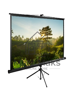 Экран Cactus 200x200см TriExpert CS-PSTE-200х200-BK 1:1 напольный рулонный