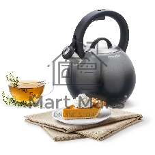 Чайник металлический Rondell Grigio RDS-1959 2.9л. серый