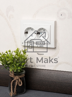 Розетка 2-ая, с/з,со шторками, 16А, СП Basic Минск белый