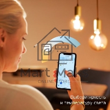 Лампа светодиодная Gauss филаментная Smart Home DIM+CCT E27 Diamond Golden 6,5 Вт 2000-5500К 1370112