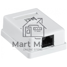 Настенная информационная розетка RJ45 8P8C, кат.5Е, UTP, 1-порт, белая 