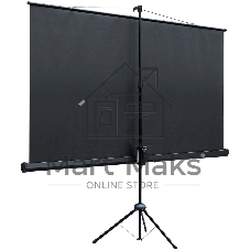 Экран на штативе Lumien Eco View 130x227см (раб.область124х221 см) (100