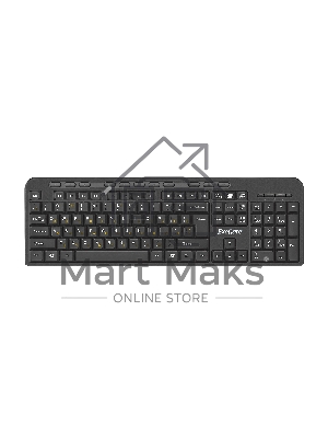 Клавиатура проводная ExeGate Multimedia Professional Standard LY-500M (EX286177RUS) проводная, USB, черный