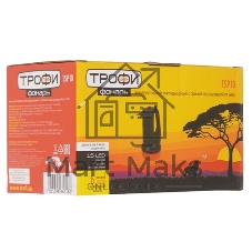 Фонарь ТРОФИ TSP10 акку 4v1.5ah 15хLED 2 режима карт