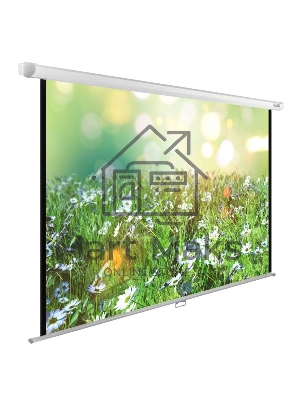 Экран Cactus 200x200см WallExpert CS-PSWE-200x200-WT 1:1 настенно-потолочный рулонный