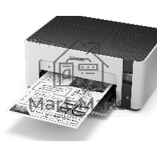 Принтер струйный Epson M1100 (C11CG95405) A4 USB серый/черный