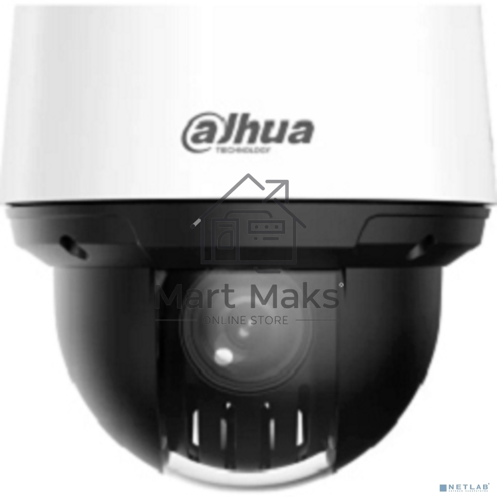 Уличная мини-PTZ IP-видеокамера DAHUA DH-SD4A216DB-HNY 2Мп, 1/2.8” CMOS, моторизованный объектив 5~80мм (16x), видеоаналитика, IP66