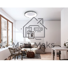 Потолочный светодиодный светильник Ambrella light FZ1402 GR серый IP20 48W 3000K-6500K D500*50 (ПДУ ИК)
