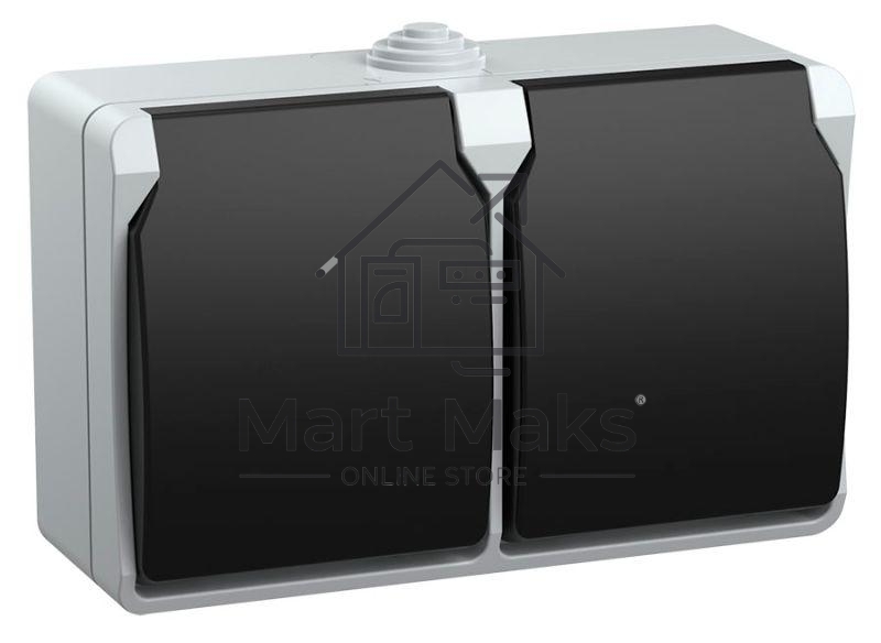 Розетка двухместная РСб22-3-ФСр с з/к для открытой установки IP54 Форс ERS22-K03-16-54-DC IEK