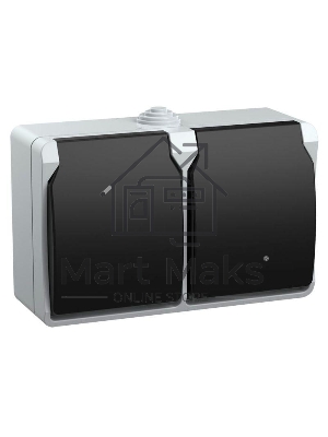 Розетка двухместная РСб22-3-ФСр с з/к для открытой установки IP54 Форс ERS22-K03-16-54-DC IEK