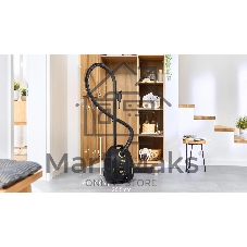Пылесос Bosch BGL38GOLD черный/золотистый, 600/1700 Вт, уборка сухая, пылесборник мешок 4 л