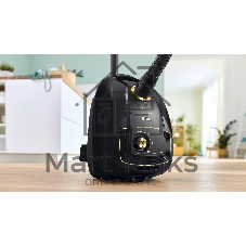 Пылесос Bosch BGL38GOLD черный/золотистый, 600/1700 Вт, уборка сухая, пылесборник мешок 4 л