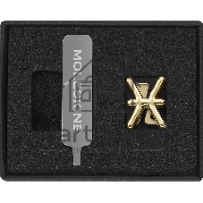 Шильд-символ Moleskine Zodiac Рыбы, металл, золотистый, коробка с европодвесом, PINPISCESGOLD