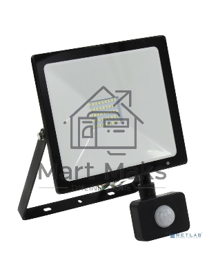 Светодиодный (LED) прожектор FL Sensor Smartbuy-30W/6500K/I65