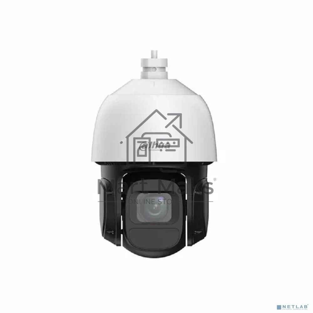 Камера видеонаблюдения Dahua DH-SD3D216NB-GNY