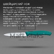 Нож кухонный Victorinox Swiss Classic (6.7704.C1) для овощей лезв. 100 мм прямая заточка зеленый