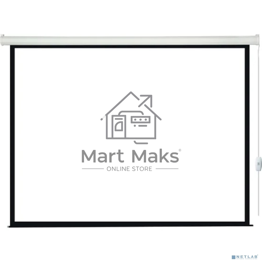 Экран с электроприводом Lumien Eco Control 244x244 см (раб. область 236х236 см) Matte White черная кайма по периметру 1:1