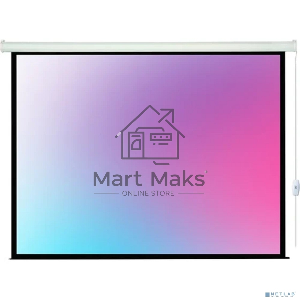 Экран с электроприводом Lumien Eco Control 244x244 см (раб. область 236х236 см) Matte White черная кайма по периметру 1:1