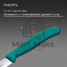 Нож кухонный Victorinox Swiss Classic (6.7704.C1) для овощей лезв. 100 мм прямая заточка зеленый