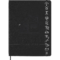 Шильд-символ Moleskine Zodiac Рыбы, металл, серебристый, коробка с европодвесом, PINPISCESSILV
