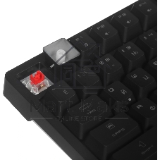 Клавиатура MSI Forge GK320 проводная, USB Type-A, чёрный
