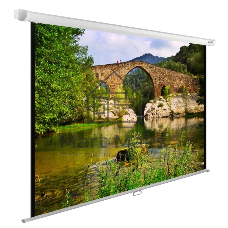 Экран Cactus 220x165см WallExpert CS-PSWE-220x165-WT 1:1 настенно-потолочный рулонный белый