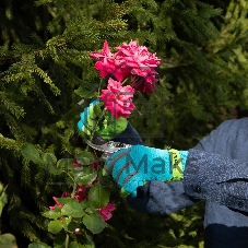 Перчатки садовые Luxe Palisad с удлиненной манжетой, размер 8