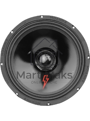 Колонки автомобильные Ural Молния АС-МЛ250 (без решетки) 300Вт 95дБ 4Ом 25см (10дюйм) (ком.:2кол.) широкополосные однополосные