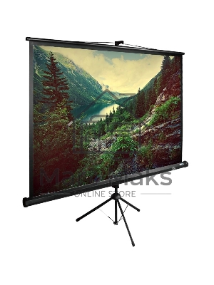 Экран Cactus 220x220см TriExpert CS-PSTE-220х220-BK 1:1 напольный рулонный