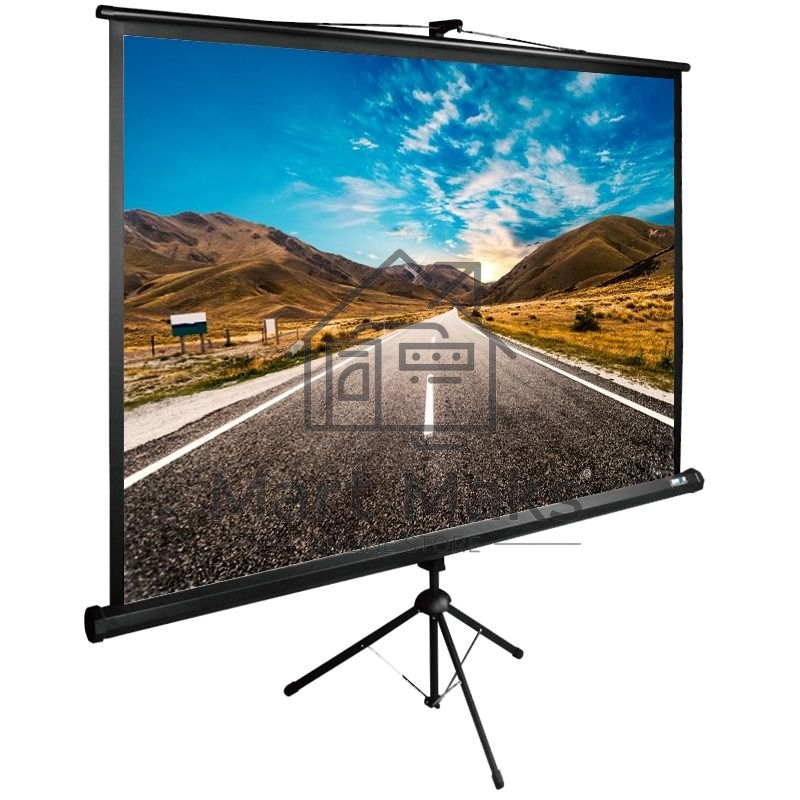 Экран Cactus 160x160см TriExpert CS-PSTE-160x160-BK 1:1 напольный рулонный